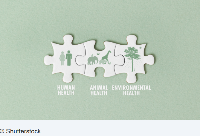 Ετήσιο Συνέδριο ERC: Πρωτοποριακή έρευνα για το One Health